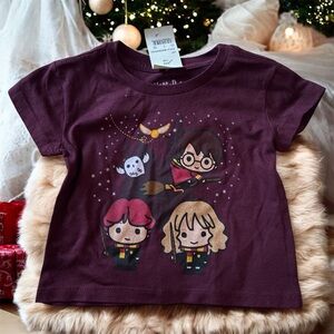 Harry Potter Maroon T-Shirt with Cartoon Design